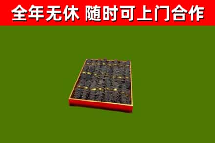 武川烟酒回收海参.jpg